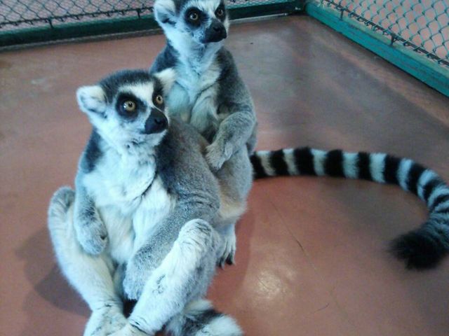 at̎ɋ邳łBƂĂA킢`(*܁*)_ߐ{[hL[p[N