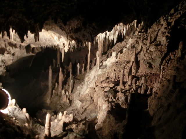 �ŏI�_�̏ߓ����ł�_����