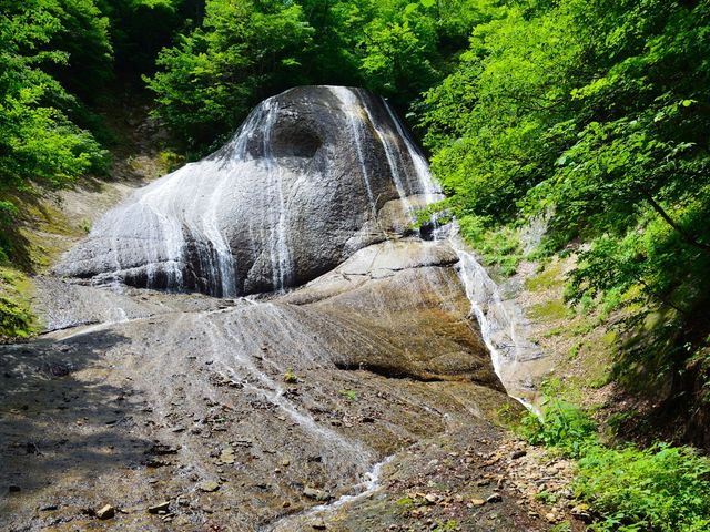 ��肷���B_�݂낭�̑�