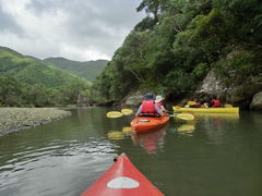 ̃}O[uJk[c[Oւ̓eʐ^1