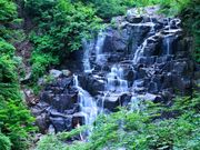 _ChKXg̗kJ(̑ȂAKq)̓eʐ^2