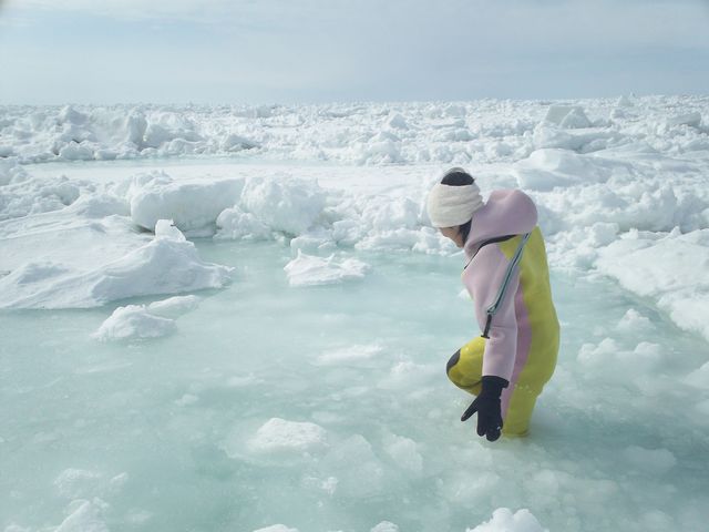 ���X�̊Ԃɗ��܂���������̒����������A�C�ɊJ�������̒��ɕ����񂾂�ł��܂��B_���X