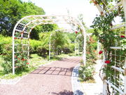 ^P񂳂̎ꌧߍ]xmԗΌ̓eʐ^1