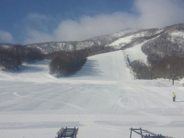 �����̒��͋󂢂Ă��܂��B_�J�����X����T�����C�o�X�L�[��