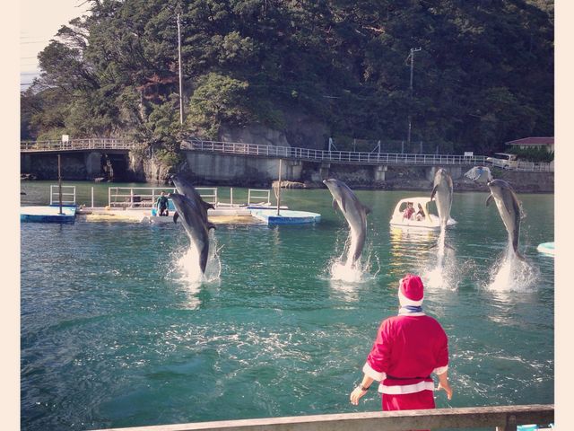 ���c�C��������