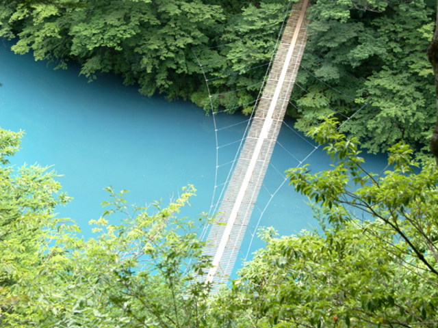緑に垣間見える湖面のエメラルドグリーンと吊り橋のコントラストは美しいです。_夢のつり橋