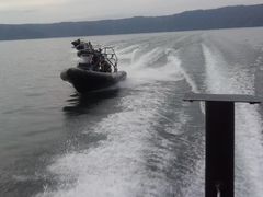 Eb`[̃Oh@RIB Tripւ̓eʐ^1