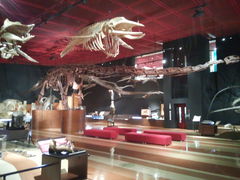 恐竜の展示の仕方にも工夫がこらされています。_いわき市石炭・化石館