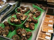 MIXI̓̉w [܁[Ƃ̓eʐ^2