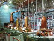 XYL̃Tg[BETg[VRBH̓eʐ^1