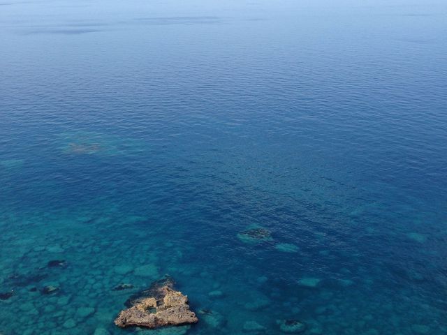 �����ʂ����C‼︎_�_�Ж�