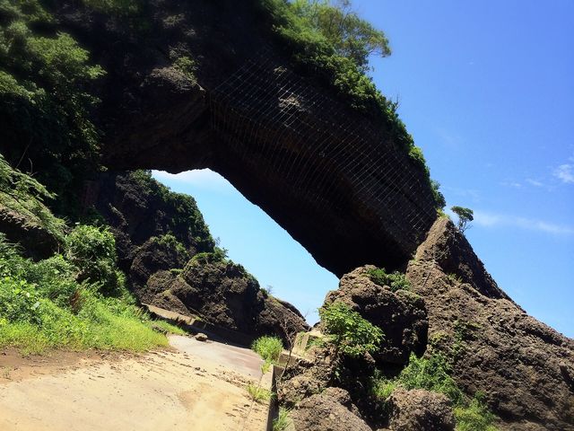 �V�R�g���l��_�Ē���