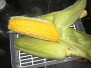 okami̖̍@݂͂炵̓eʐ^3