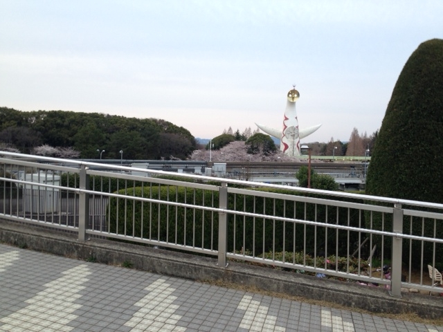 �����L�O�����E���{�뉀