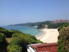 ����܂܂���̑��X�˕l�r�|�`�ւ̓��e�ʐ^1