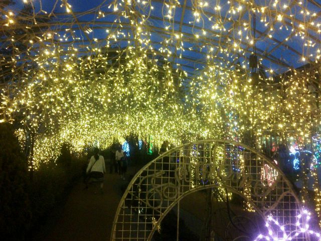 ����Ȋ������ȁ`_���h�t�@�[�������h