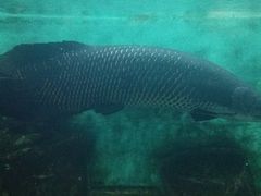 marubo̔Moiijւ̓eʐ^1