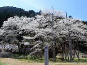 p7777777̒Wn iJWnj̓eʐ^2