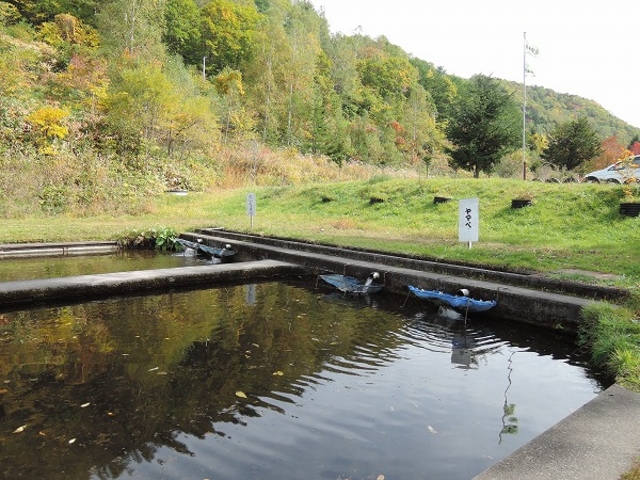 �ޖx_����ڂ�