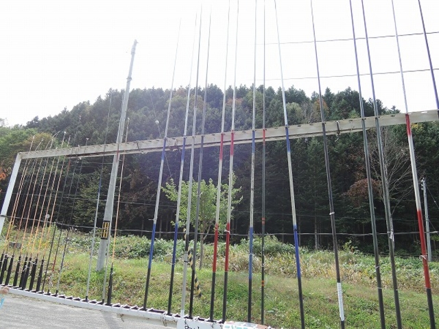 �݂���_����ڂ�