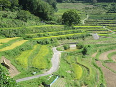 ЂȂ̔璬E嚸a̒Icւ̓eʐ^1