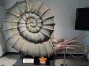 fghdfd̎O}sق̓eʐ^2