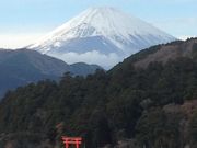 Ƃ񂳂̔mΐpق̓eʐ^1