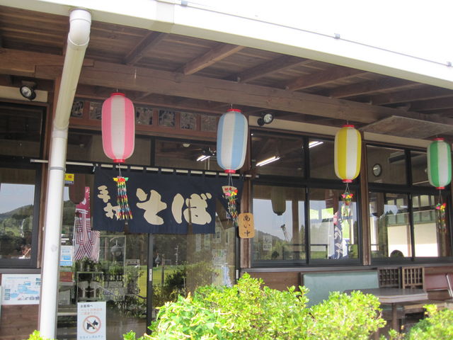 OςłB܂肨Ƃ͌܂񂪁A͗΂܂_}ԃNCKe Ώ