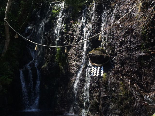 �ʗ��̑�ł��B�����₽���ċC�����悩�����ł��B_�ʗ��̑�