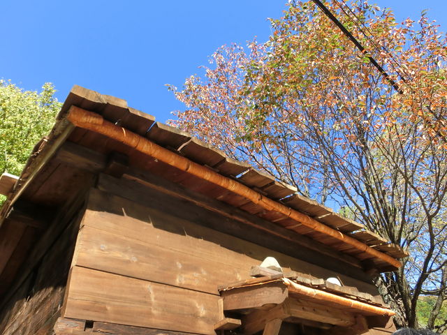 maaaya19̃ZCEq̓eʐ^3