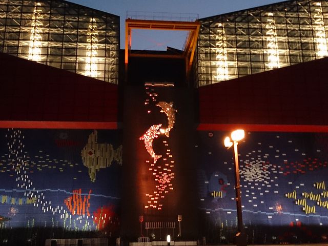 ���C�g�A�b�v_�C�V��