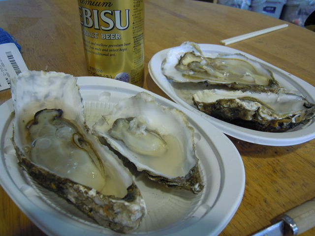 ݕ́A߂̃RrjŔĂ܂I_݋ƋgX