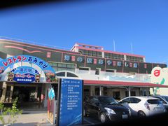 50̃Xm[{[h񂳂̊C̉w͂قւ̓eʐ^1