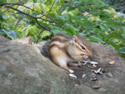 ݂قςς̉~Rnт̓eʐ^2