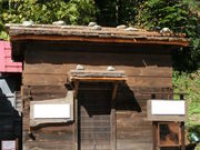 maaaya19̃ZCEq̓eʐ^1