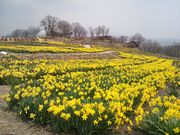 ݂Ԃ̐MBۉỹXCZ̓eʐ^1