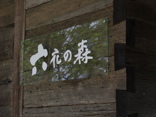 DɂZۂ̐XɍsĂ݂悤II_ZԒ{X