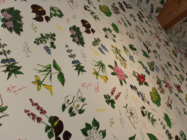 �����������َq�̕���I�I_�Z�Ԓ��{�X