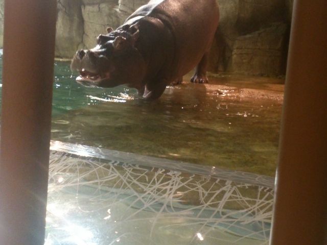 ���R������