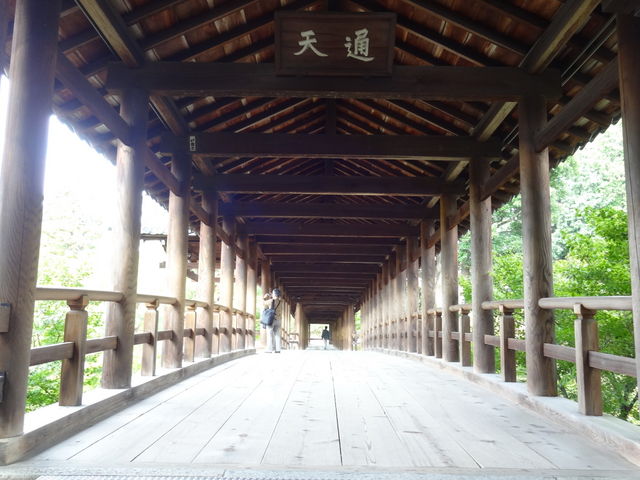 �ʓV���ʘH��_������