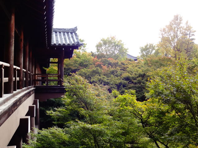 �ʓV���̑��ʂ���_������