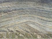 Ƃ񂳂̐gnwfʂ̓eʐ^1