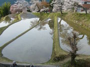 minami̎OC̃TN̓eʐ^1