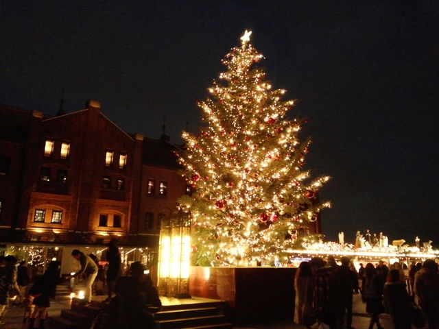 NX}X}[Pbg in lԃKq
11/29(y)`12/25()J_lԃKqɁm1ًy2فn