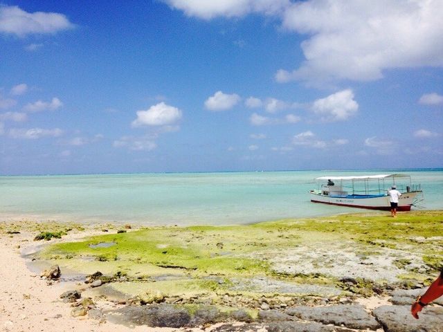 ���̔����������S�����l_�S�����l