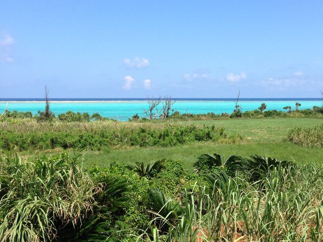 ������Ɠ���������B�����S�����l_�S�����l