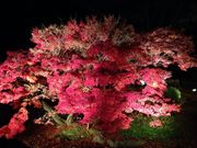 ktmk1506̌Iь̓eʐ^1