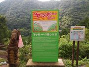 agũO[p[N֎R̓eʐ^1