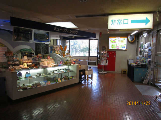 �~���|�W�A���V���b�v_�L���s���ǂ������Ȋw��