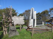 yuji̖{^㉮Ղ̓eʐ^1